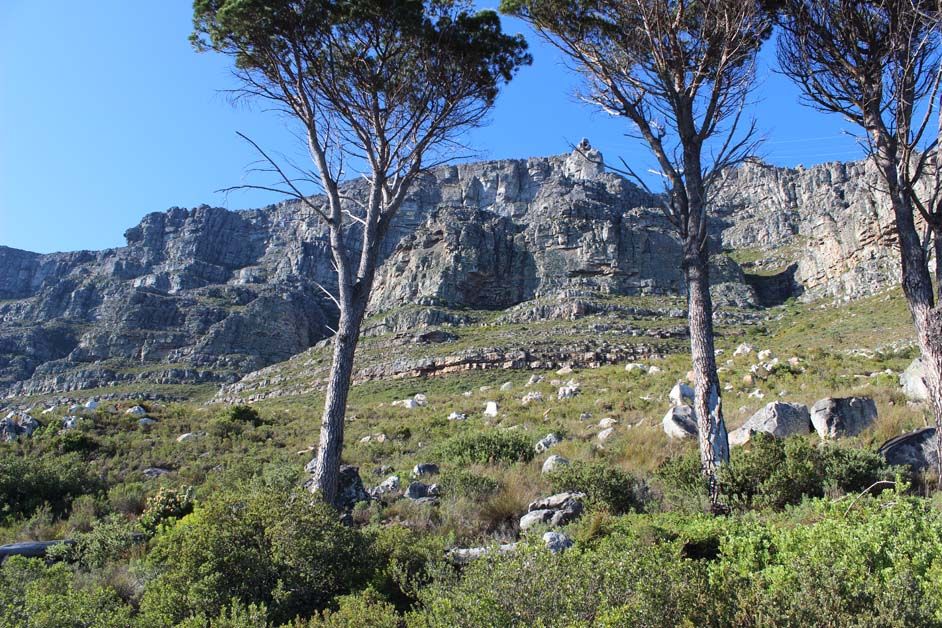 Table Mountain
