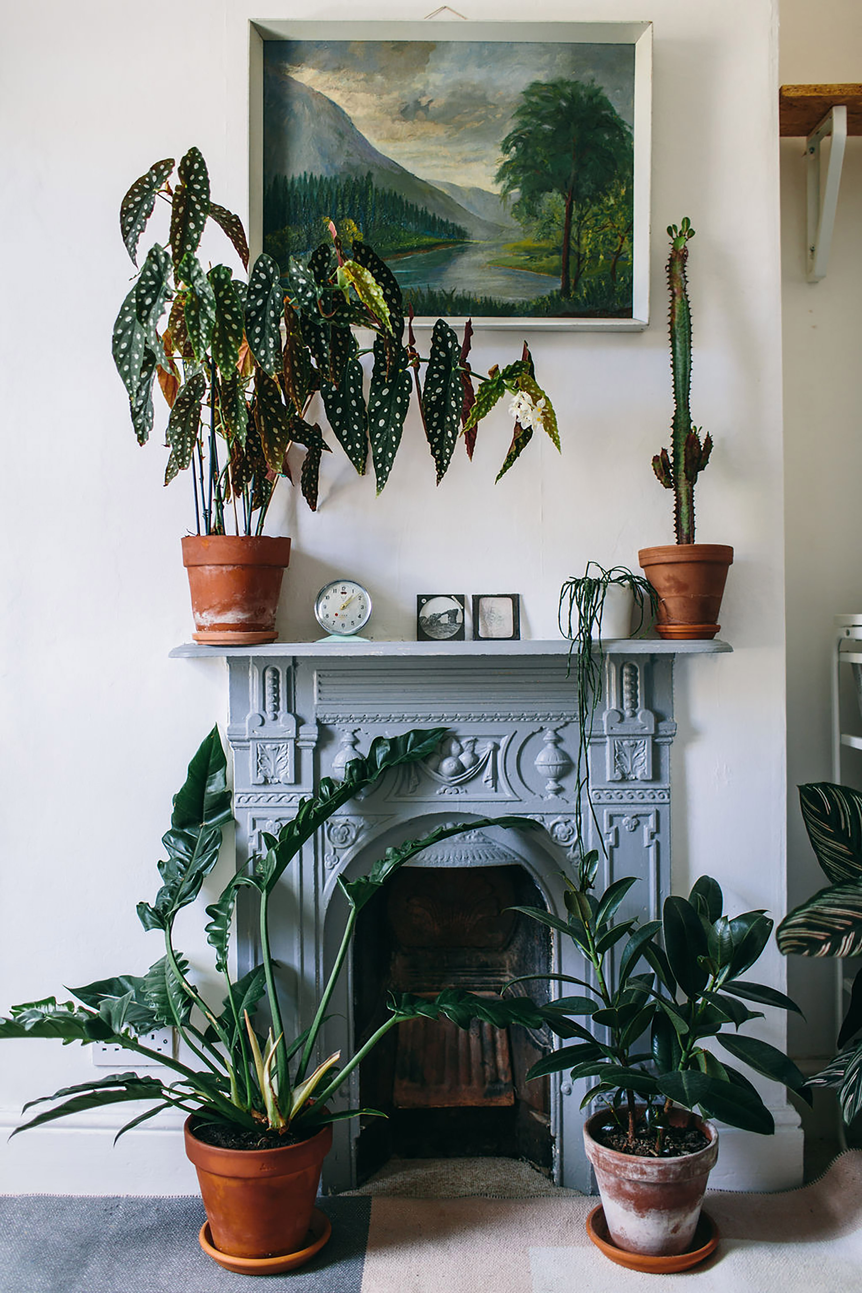 indoor garden ideas: plants surrounding a fireplace