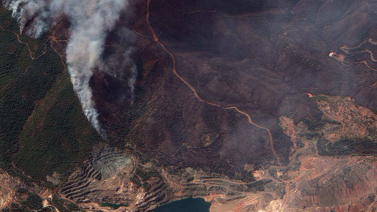 Forests on the Greek island of Evia can be seen completely burned following wildfires. The high res image was captured by a satellite operated by Maxar Technologies.