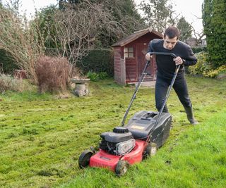 Man mowing the lawn for the first time after winter
