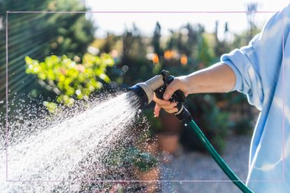 A close up of a woman holding a hosepipe with a sprinkler attchment