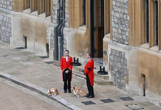 Corgis outside Windsor Castle after Queen funeral