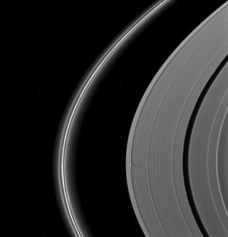 Daphnis in Saturn's Rings
