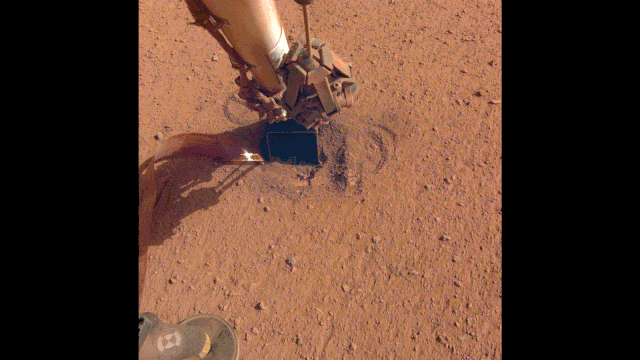 NASA's InSight retracted its robotic arm on Oct. 3, 2020, revealing where the spike-like "mole" is trying to burrow into Mars. The copper-colored ribbon attached to the mole has sensors to measure the planet's heat flow. In the coming months, the arm will scrape and tamp down soil on top of the mole to help it dig.
