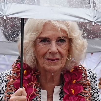 Queen Camilla wears flowers round her neck and carried a transparent umbrella as she braves the rain in Samoa