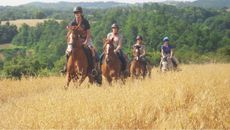 Far-and-Ride.jpg
