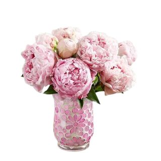 1-800-Flower's Precious Peony Bouquet in pink in a pink vase