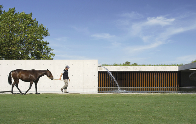 The yard is just 45-minutes from Buenos Aires, in the distinctive &ldquo;Pampas&rdquo; region &mdash; pampa meaning &ldquo;plains&rdquo; or &ldquo;flatland&rdquo;