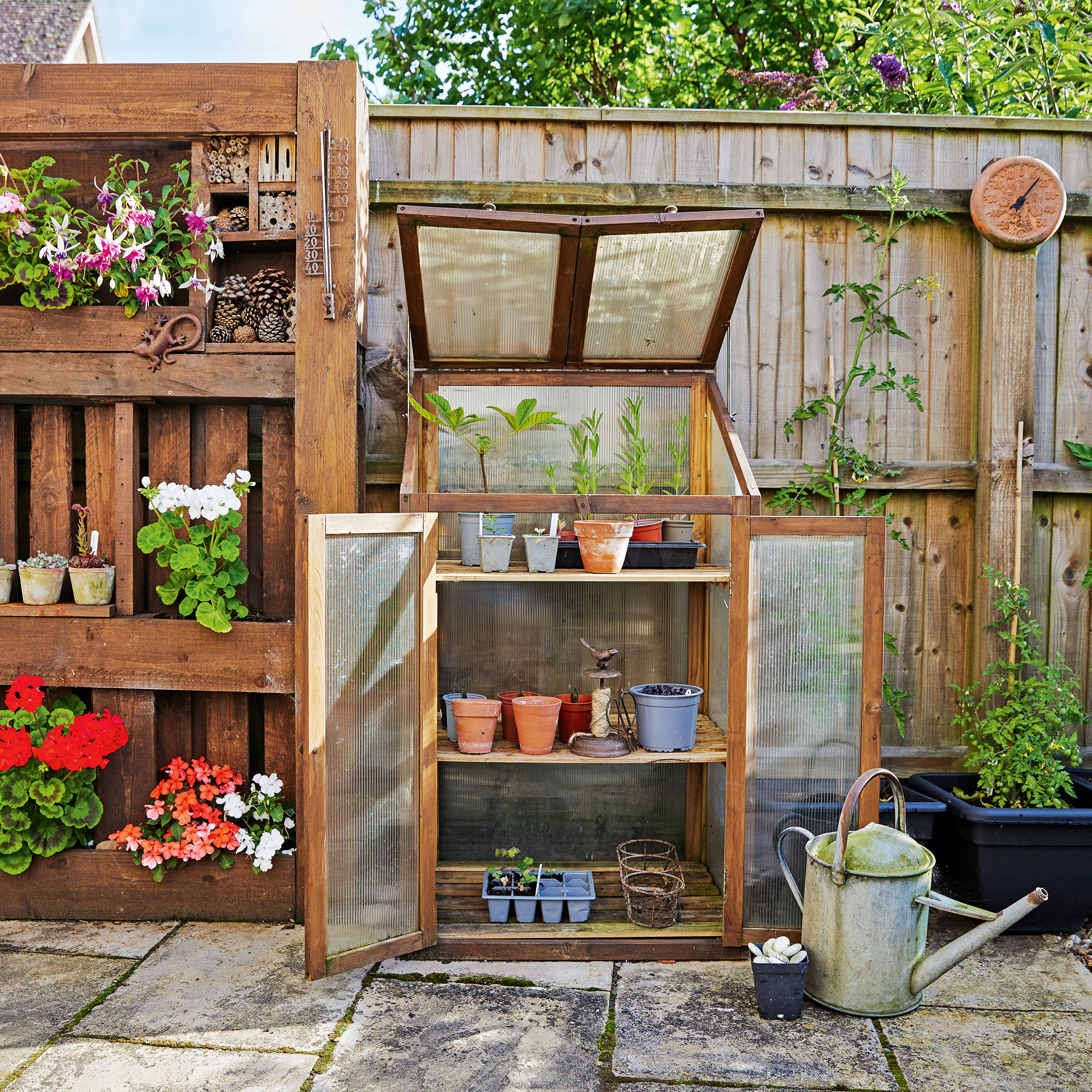 a mini greenhouse filled with pots, planters and propagators alongside a vertical shelving unit filled with potted flowers