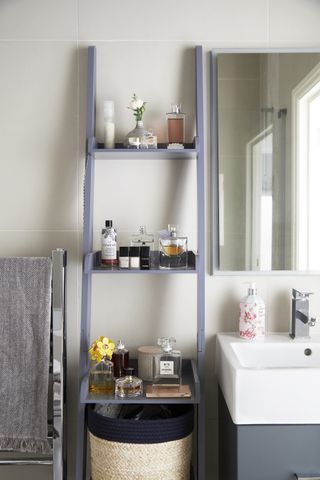 Bathroom with ladder style shelving beside basin with mirror over