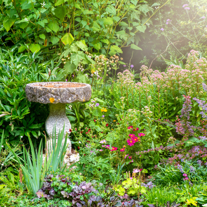 Stone bird bath and in English cottage garden