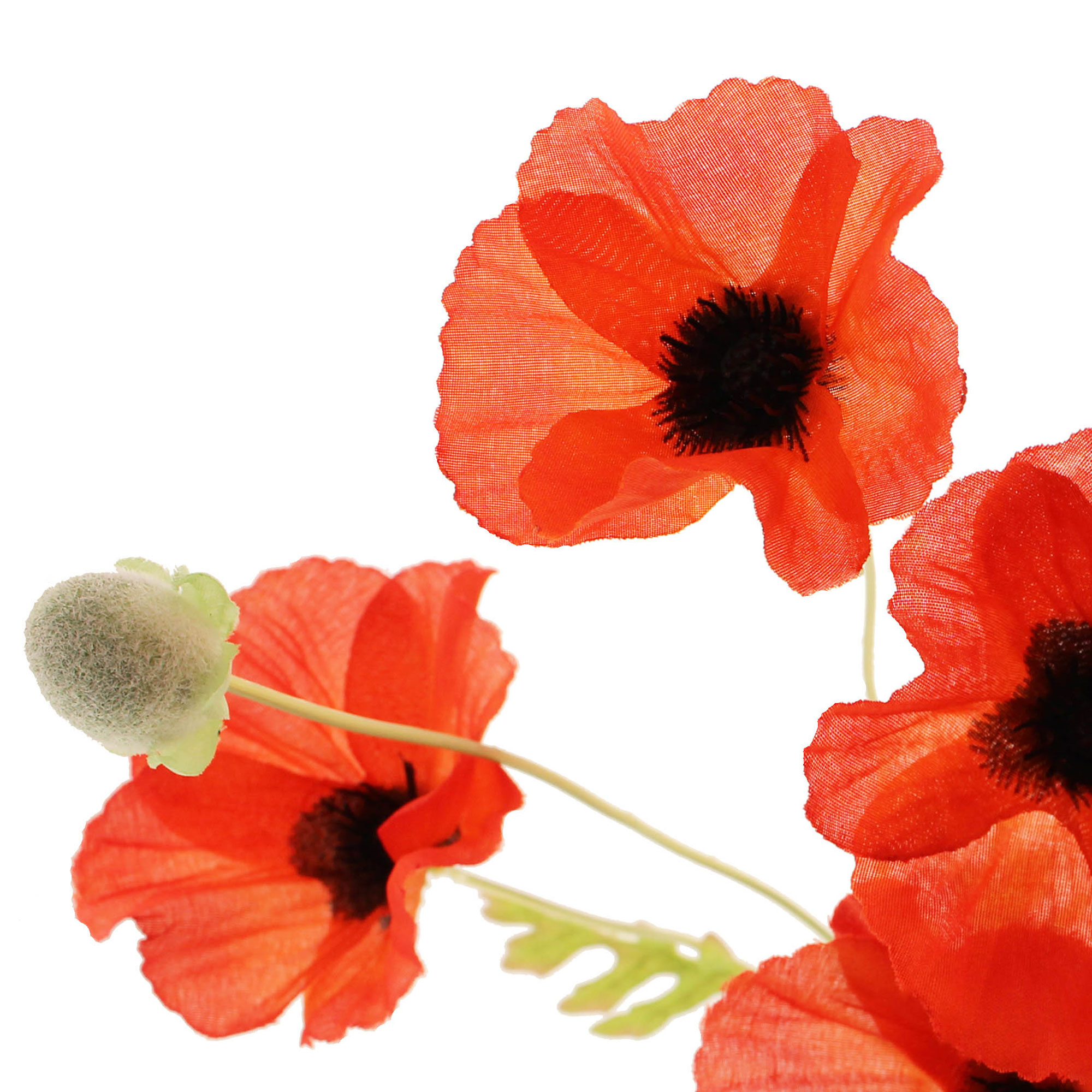 Shoppers are loving these £1.50 Dunelm faux poppies | Ideal Home