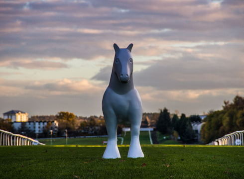 Hamilton-horses-RSG-Hamilton-Race-Course.jpg