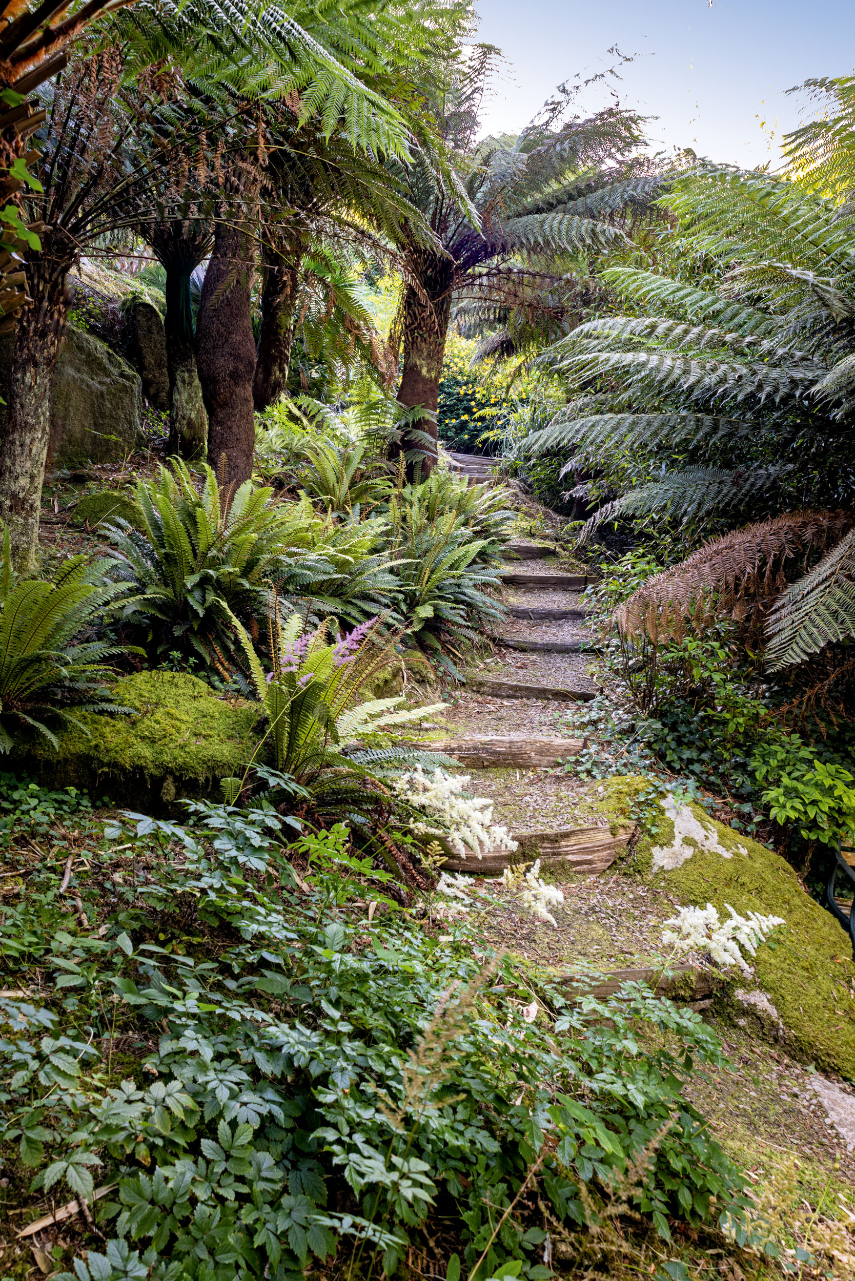 The gardens at Chygurno in Cornwall