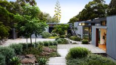 A backyard with lots of green shrubs 