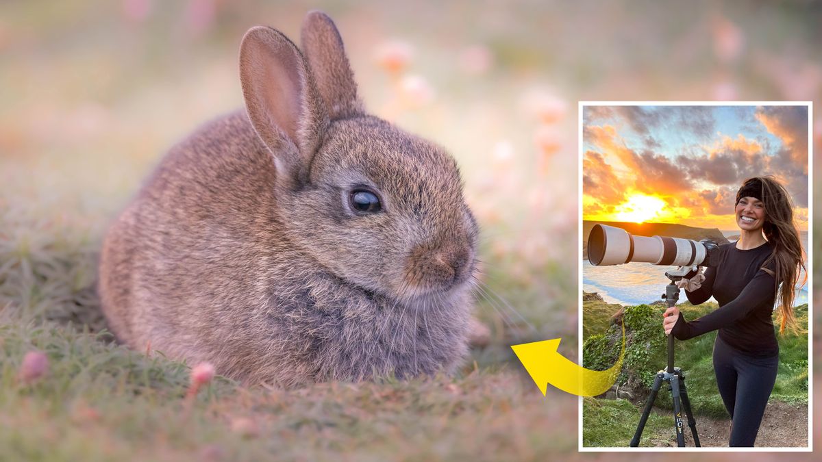 Photographer Hannah Stitfall and her picture of a rabbit