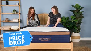 Two girls sitting on Brooklyn Bedding Copperflex Pro Hybrid mattress on wooden bedframe with plants and shelving either side of bed