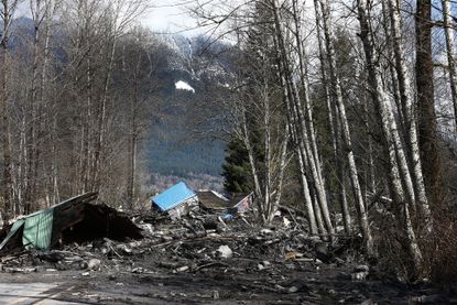 Washington State mudslide's death toll rises to 8, with a dozen still missing