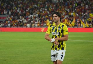 Fenerbahce defender Ferdi Kadioglu is extremely sought after