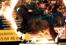 policehorse07.jpg