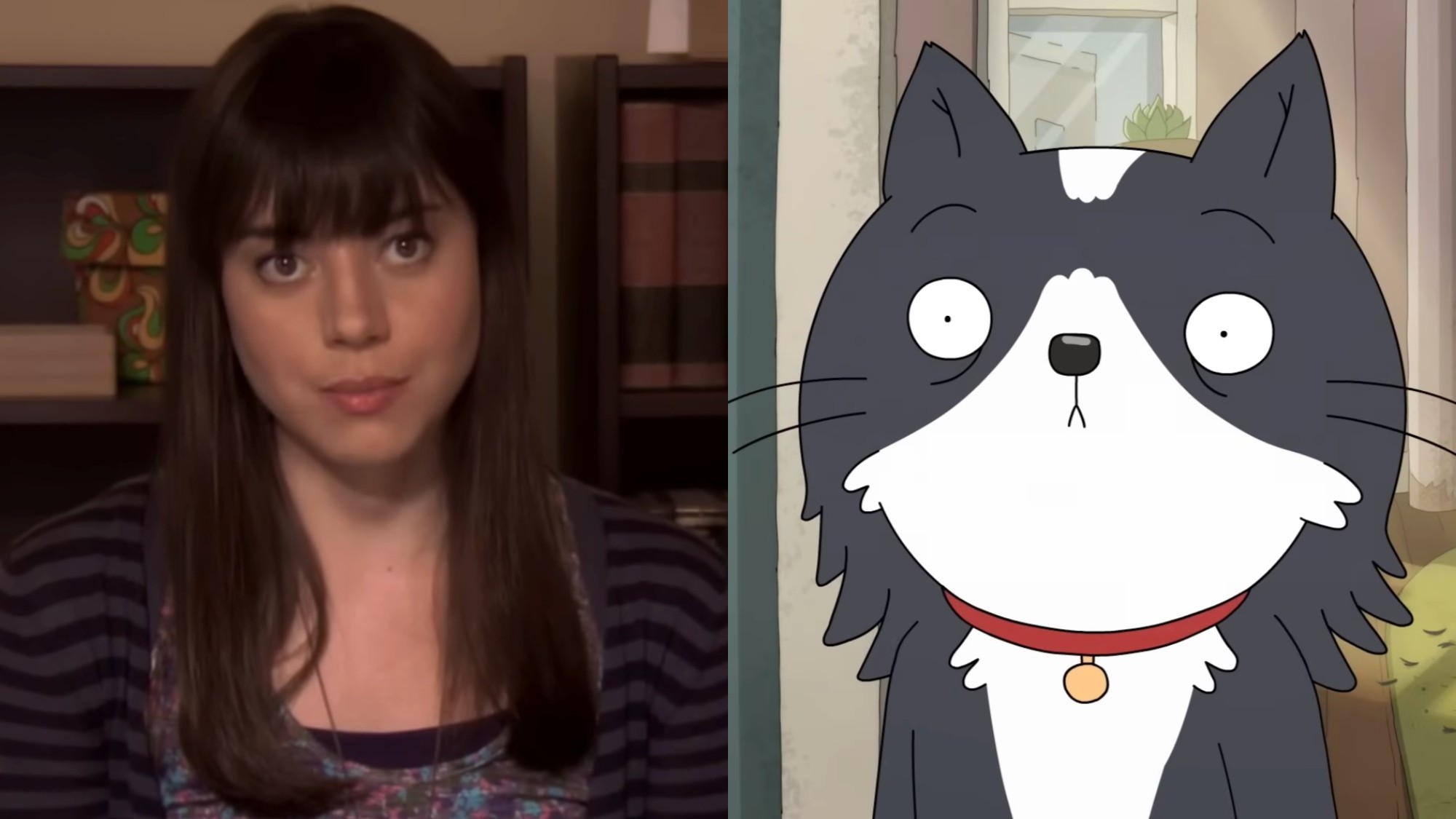 From left to right: Aubrey Plaza in Parks and Rec and Kevin the cat in Kevin. 