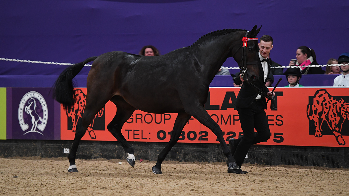 HOYS 2022