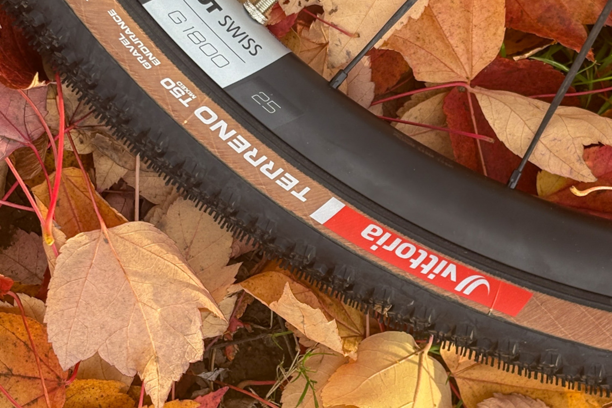 Vittoria Terreno T50 tyres on the Pinarello Grevil F3