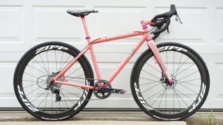 Anthony Clark's Squid squidcross