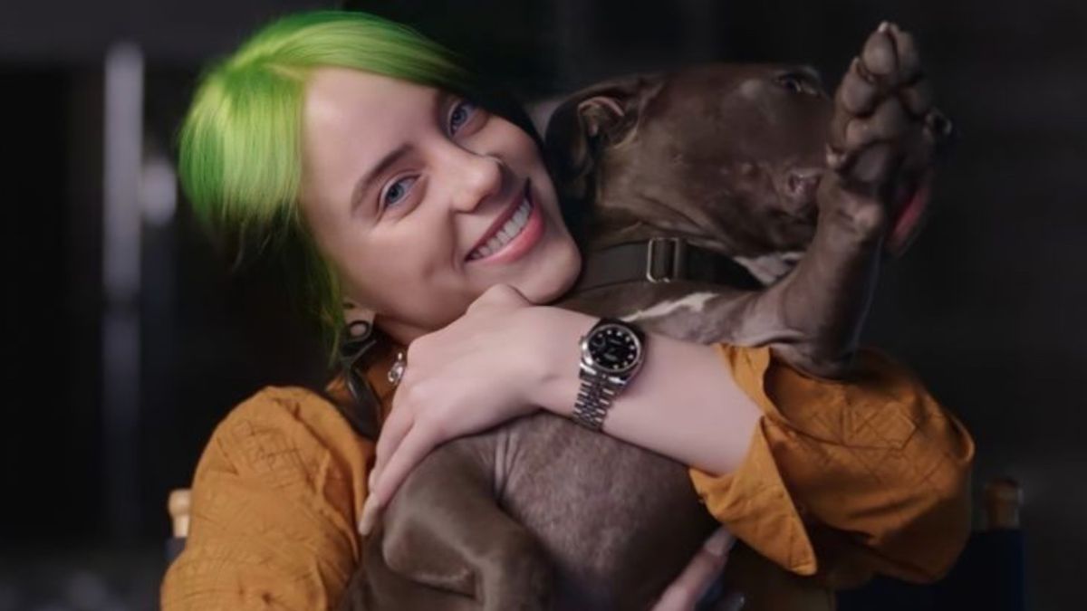 Billie Eilish&#039;s dog Shark being held by the singer