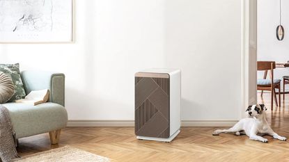Samsung Bespoke Cube Air Purifier in a living room.