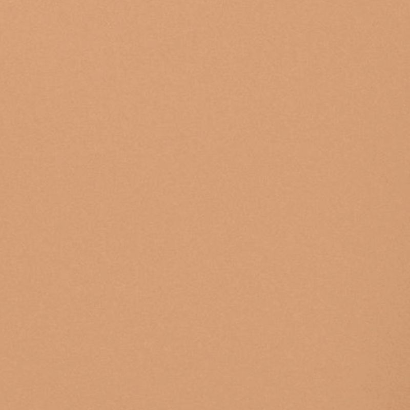 muted orange paint swatch