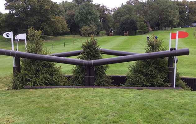 image00013