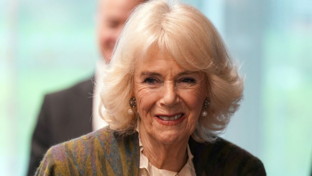 Queen Camilla&#039;s silky soft hair