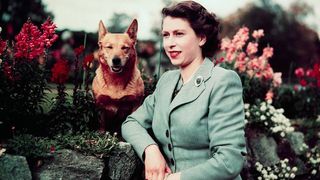 Queen Elizabeth's new dog Lissy the Cocker Spaniel has broken with her long-standing Corgi tradition