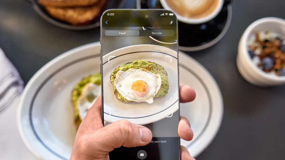Garmin Nutrition Tracking photo food logging