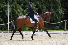 Bubby-Upton_CANNAVARO_BictonInter_PN21_12568.jpg