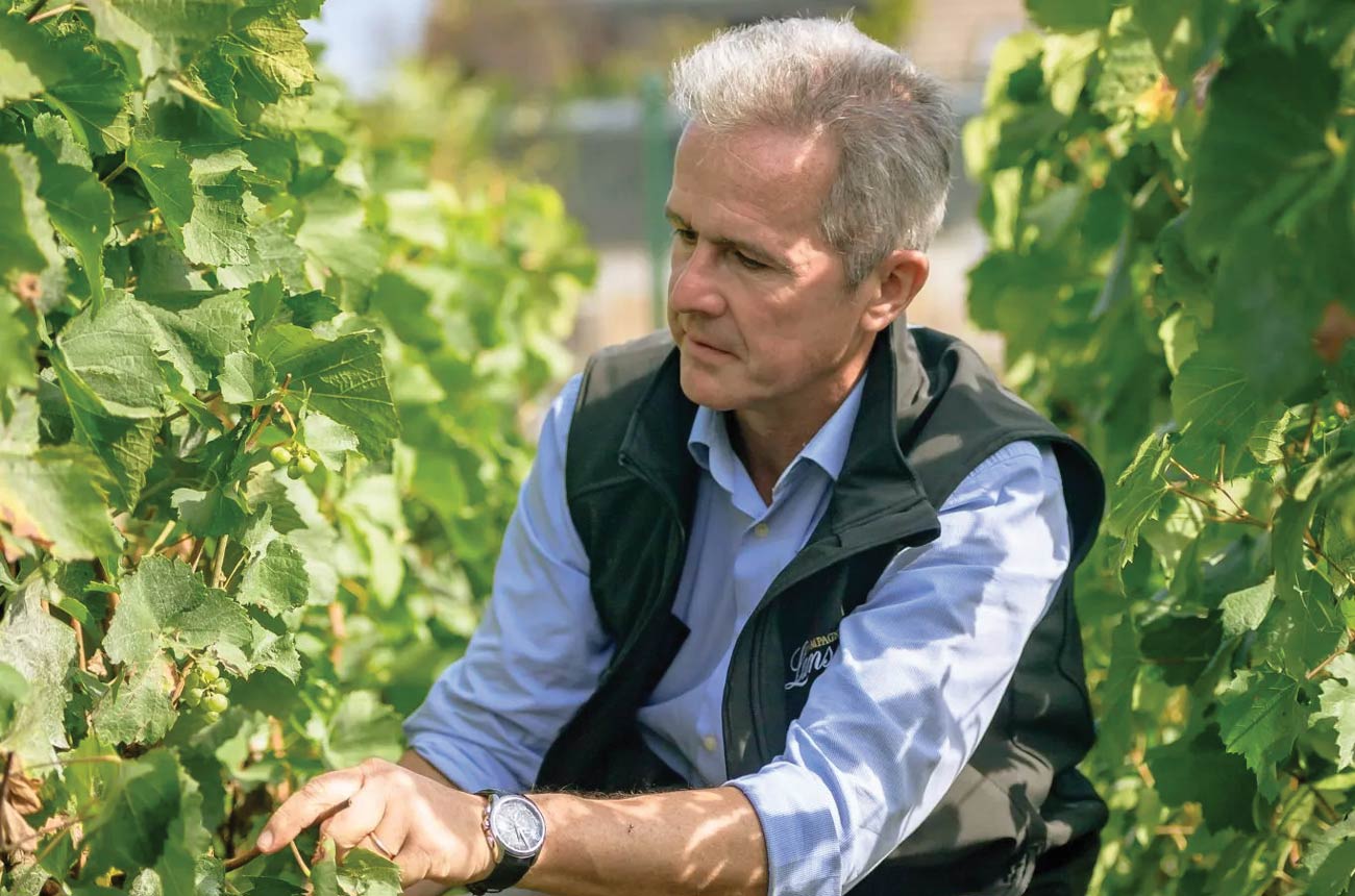 Lanson cellar master Herv&amp;eacute; Dantan