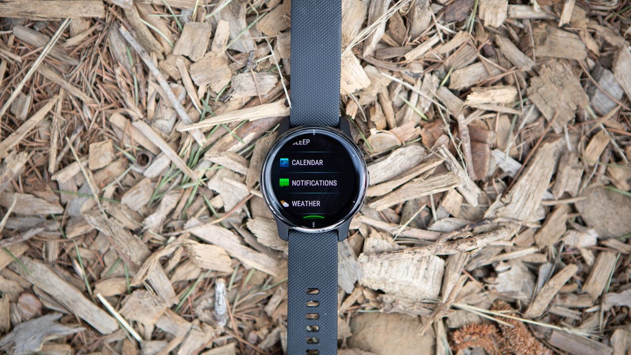 Garmin Venu 2 Plus at a glance customization