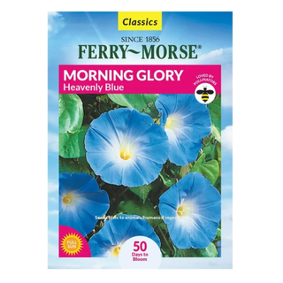 A packet of morning glory seeds