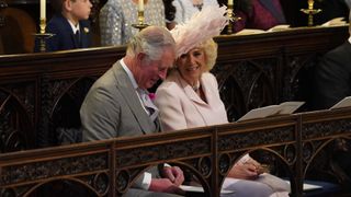 King Charles and Queen Camilla at Prince Harry's wedding, 2018