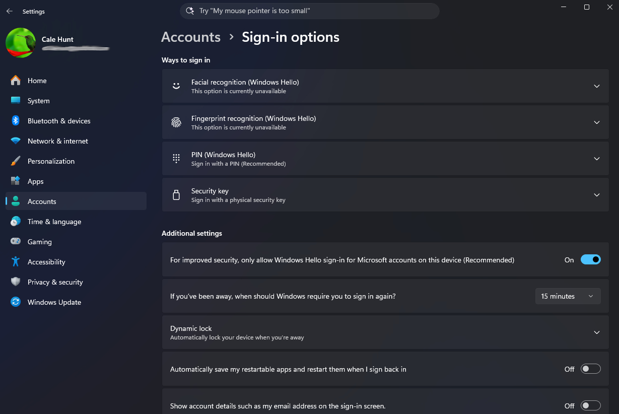 Windows 11 Sign-in options settings page showing ways to sign in, including facial, fingerprint, PIN, and security key, along with additional sign-in settings.