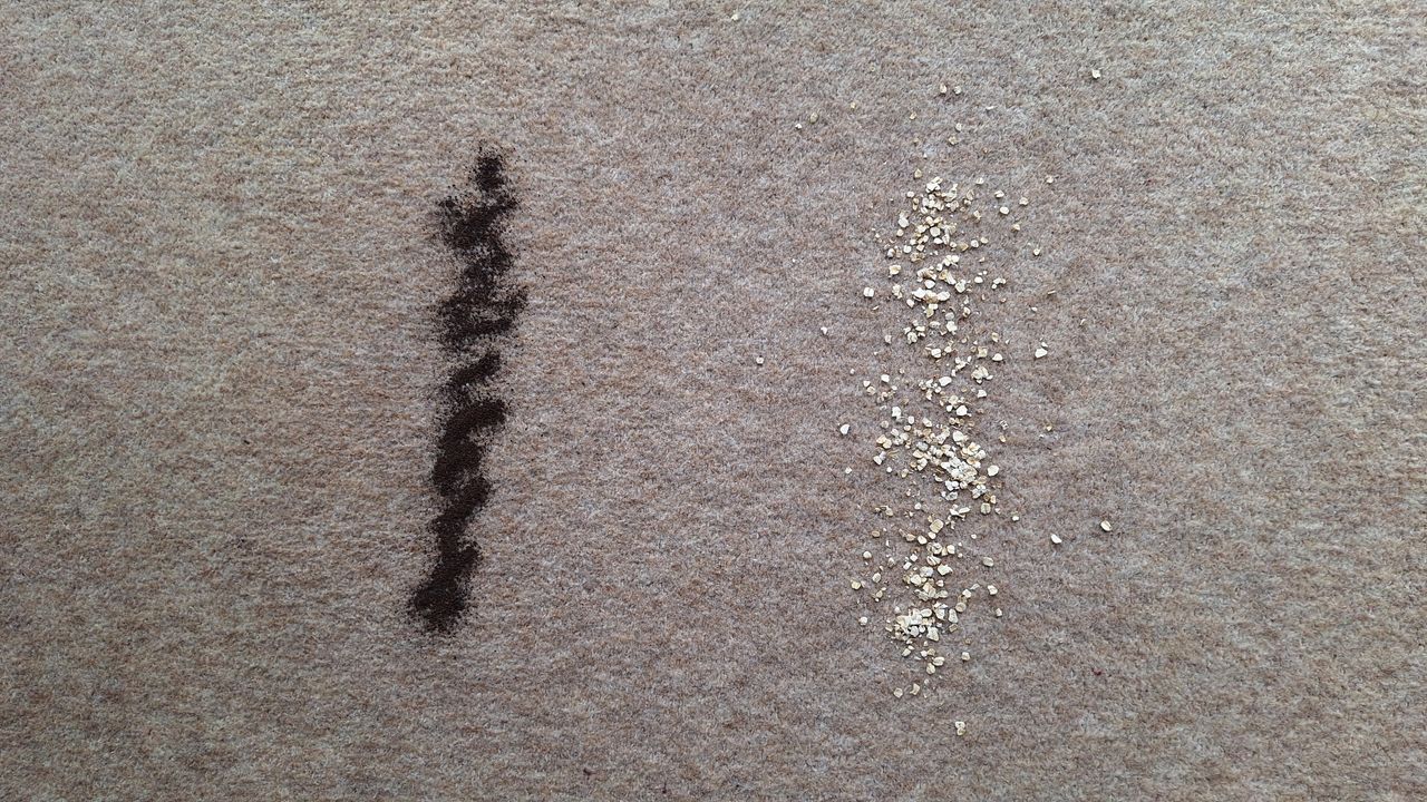 Tea and oats on carpet, ready for suction tests