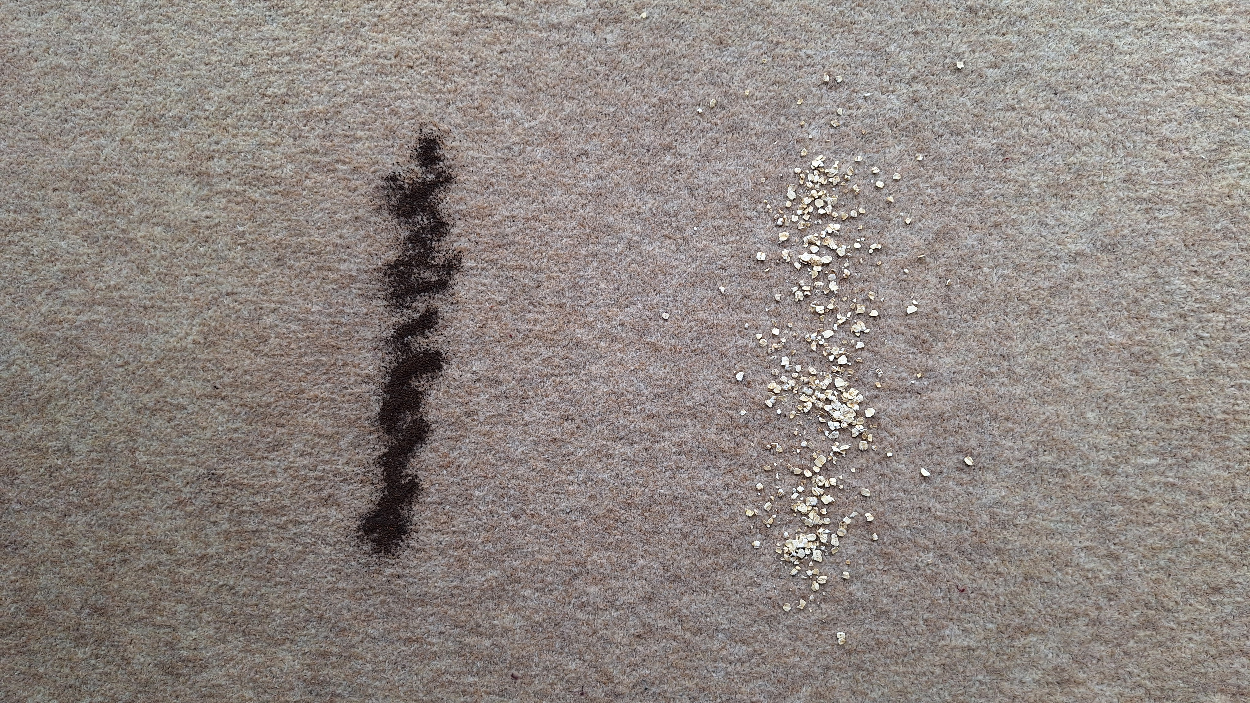 Tea and oats on carpet, ready for suction tests