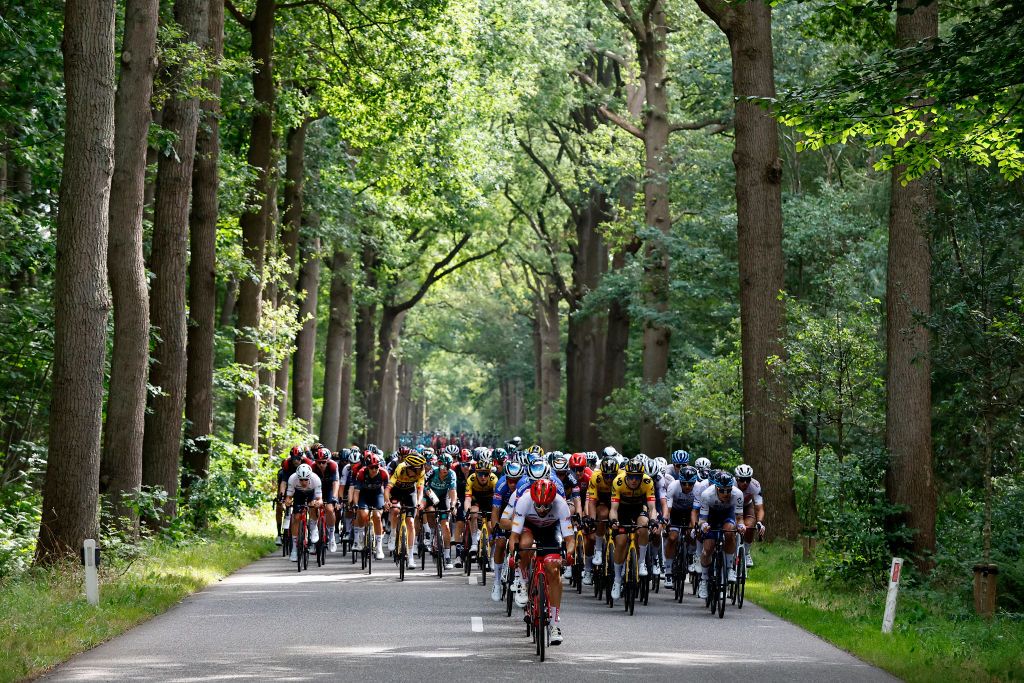 BREDA NETHERLANDS AUGUST 21 Dario Cataldo of Italy and Team Trek Segafredo leads the peloton during the 77th Tour of Spain 2022 Stage 3 a 1932km stage from Breda to Breda LaVuelta22 WorldTour on August 21 2022 in Breda Netherlands Photo by Bas CzerwinskiGetty Images