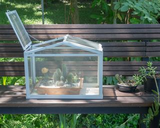 small glazed box used as a mini greenhouse