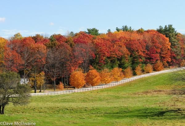 The New England foliage was spectacular