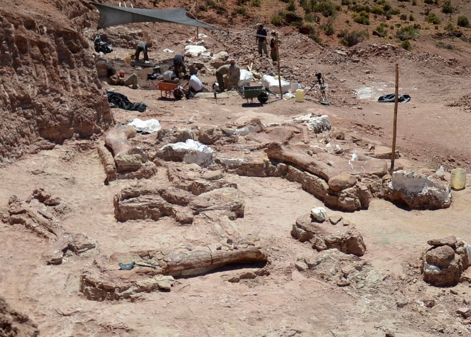 dinosaurs discovered in 2021