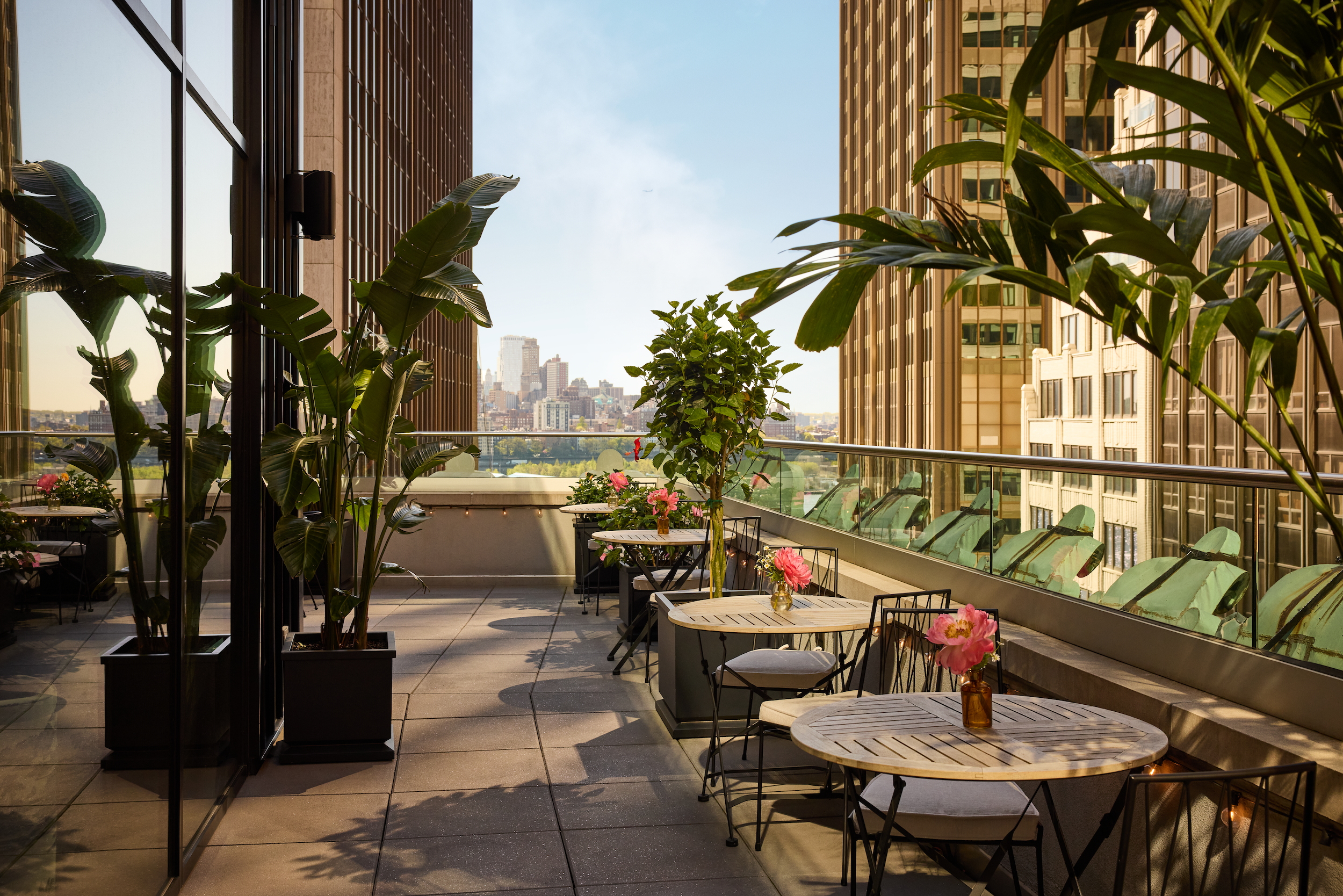 best rooftop bars new york