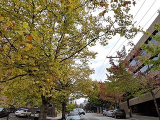 Google Pixel 3 photo sample