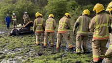 Horse-rescue-3.jpeg